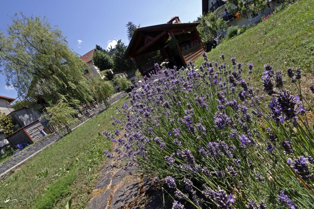 Apartment House Lalita Fužine Buitenkant foto
